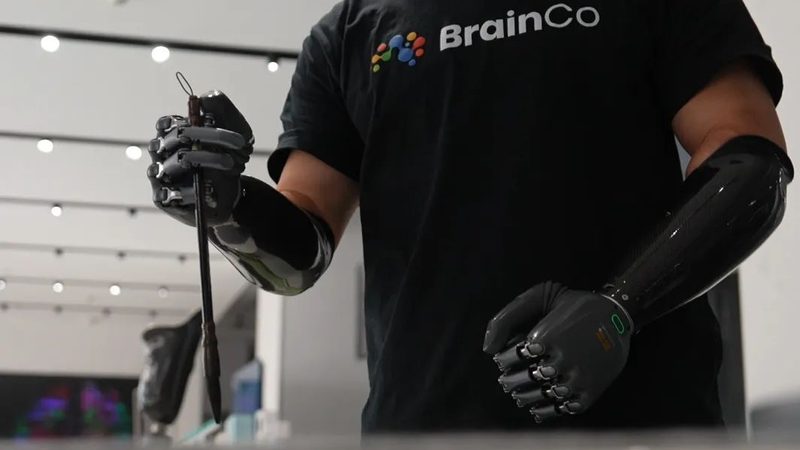 政府企业搜索定制开发：如何满足特定需求的智能解决方案